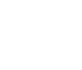 Dainese